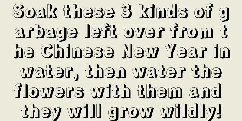 Soak these 3 kinds of garbage left over from the Chinese New Year in water, then water the flowers with them and they will grow wildly!