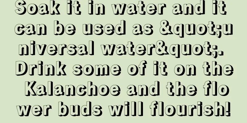 Soak it in water and it can be used as "universal water". Drink some of it on the Kalanchoe and the flower buds will flourish!