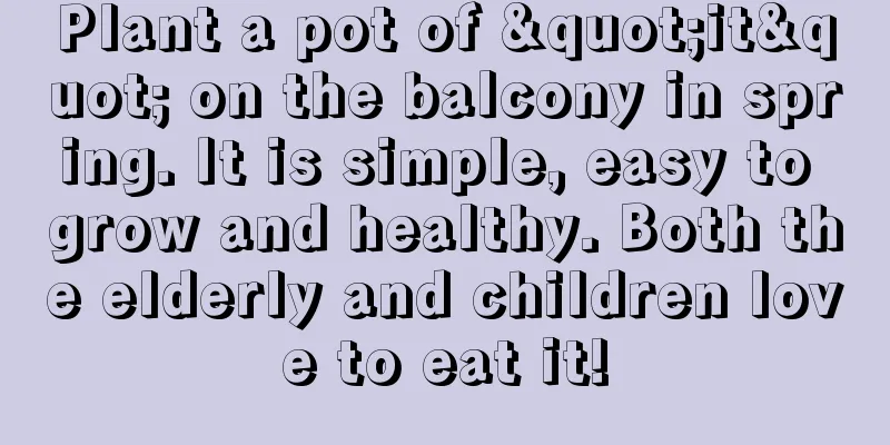 Plant a pot of "it" on the balcony in spring. It is simple, easy to grow and healthy. Both the elderly and children love to eat it!