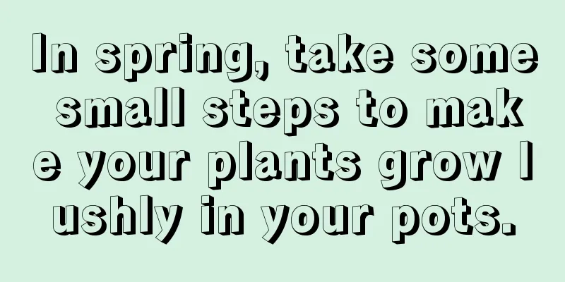 In spring, take some small steps to make your plants grow lushly in your pots.