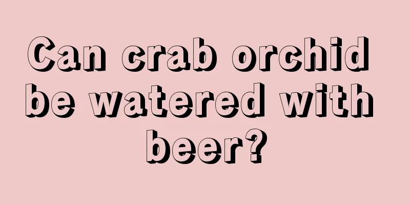 Can crab orchid be watered with beer?