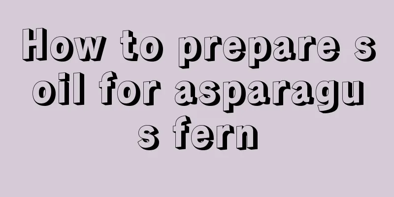 How to prepare soil for asparagus fern