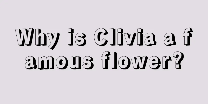 Why is Clivia a famous flower?