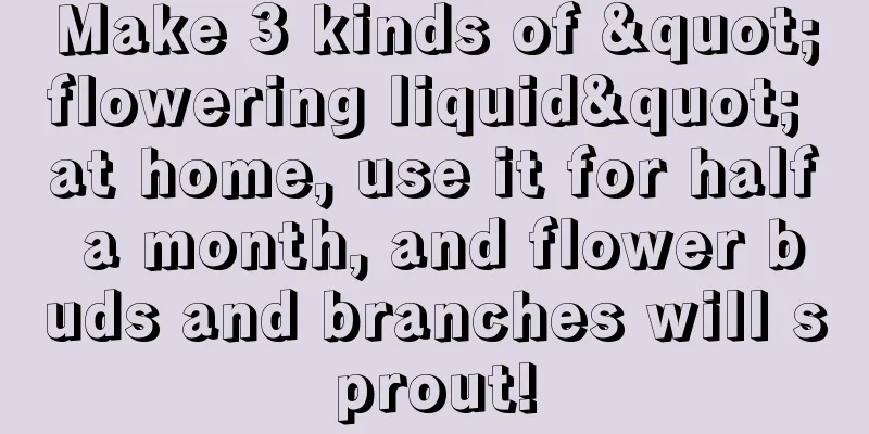 Make 3 kinds of "flowering liquid" at home, use it for half a month, and flower buds and branches will sprout!