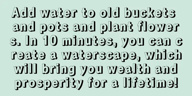 Add water to old buckets and pots and plant flowers. In 10 minutes, you can create a waterscape, which will bring you wealth and prosperity for a lifetime!