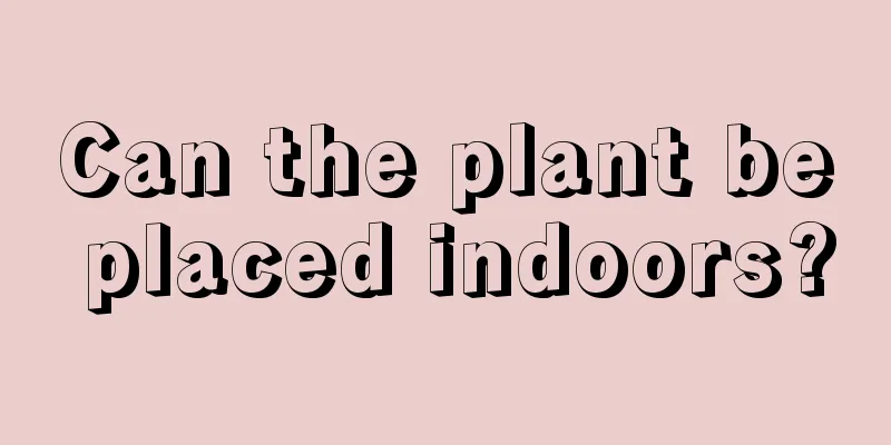 Can the plant be placed indoors?