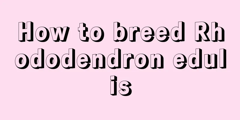 How to breed Rhododendron edulis