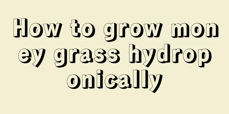 How to grow money grass hydroponically