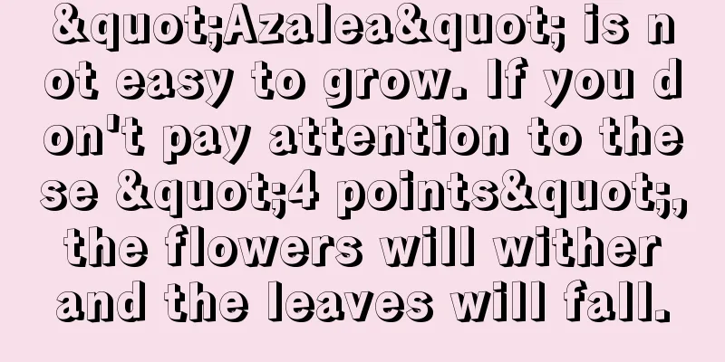 "Azalea" is not easy to grow. If you don't pay attention to these "4 points", the flowers will wither and the leaves will fall.