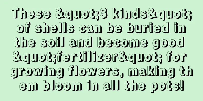 These "3 kinds" of shells can be buried in the soil and become good "fertilizer" for growing flowers, making them bloom in all the pots!