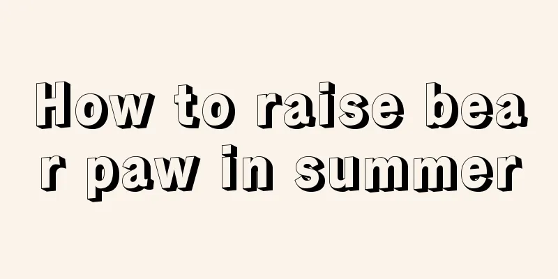 How to raise bear paw in summer