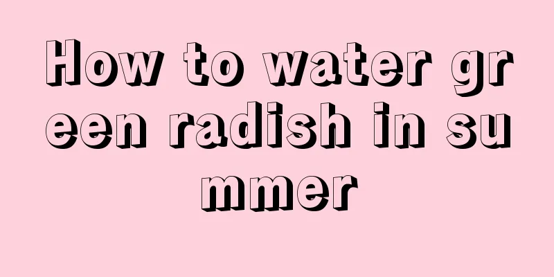 How to water green radish in summer