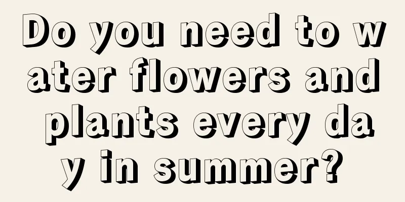 Do you need to water flowers and plants every day in summer?