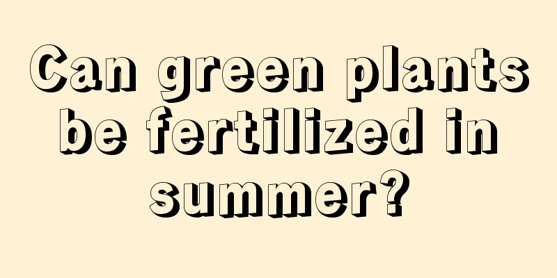 Can green plants be fertilized in summer?