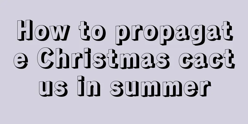 How to propagate Christmas cactus in summer