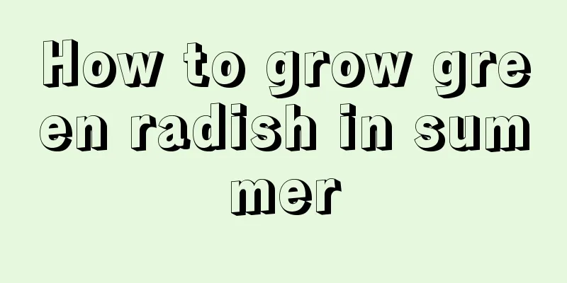 How to grow green radish in summer