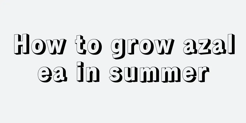 How to grow azalea in summer