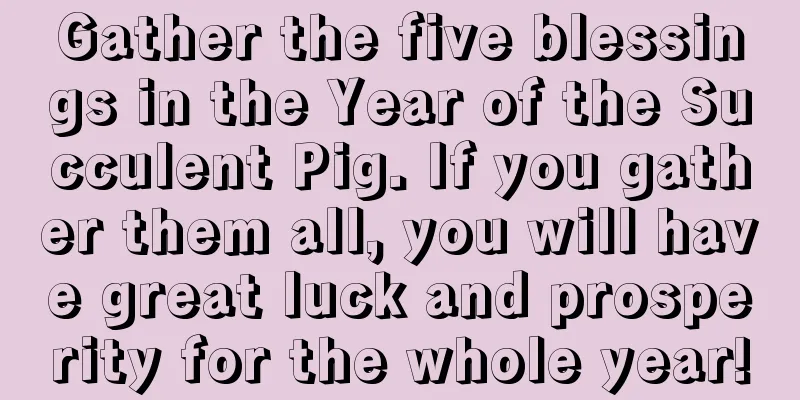 Gather the five blessings in the Year of the Succulent Pig. If you gather them all, you will have great luck and prosperity for the whole year!