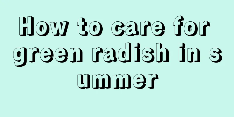 How to care for green radish in summer