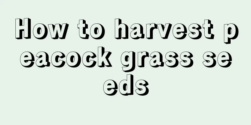 How to harvest peacock grass seeds