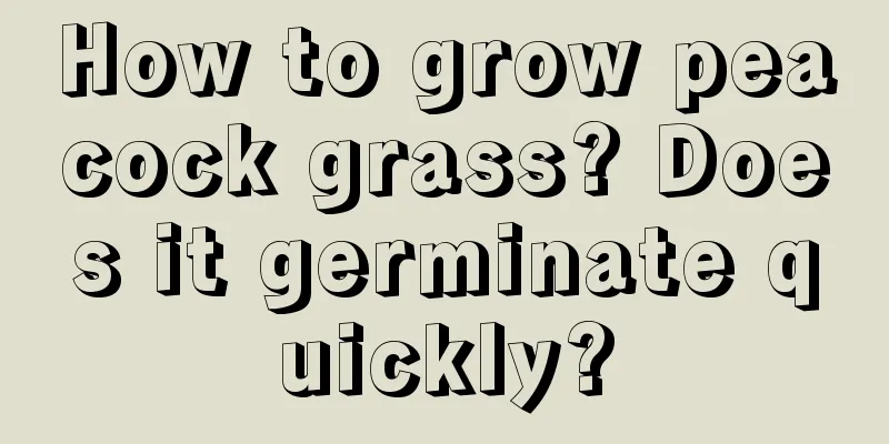 How to grow peacock grass? Does it germinate quickly?