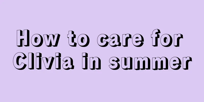 How to care for Clivia in summer