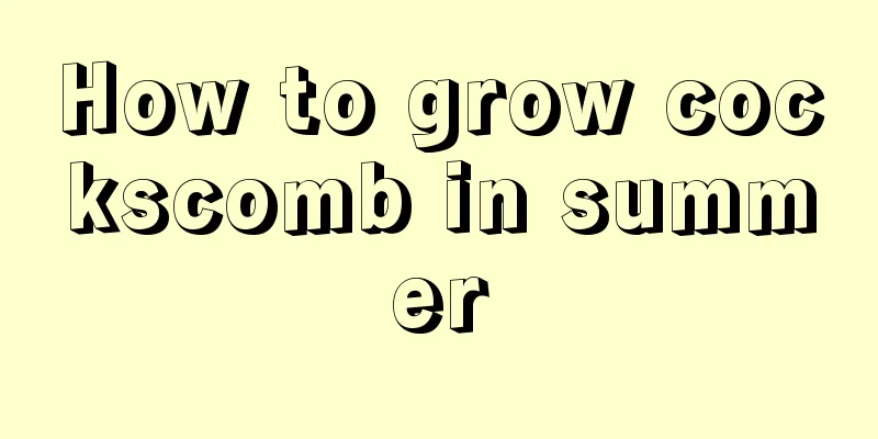 How to grow cockscomb in summer