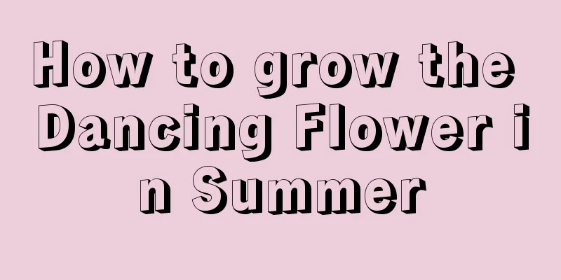 How to grow the Dancing Flower in Summer