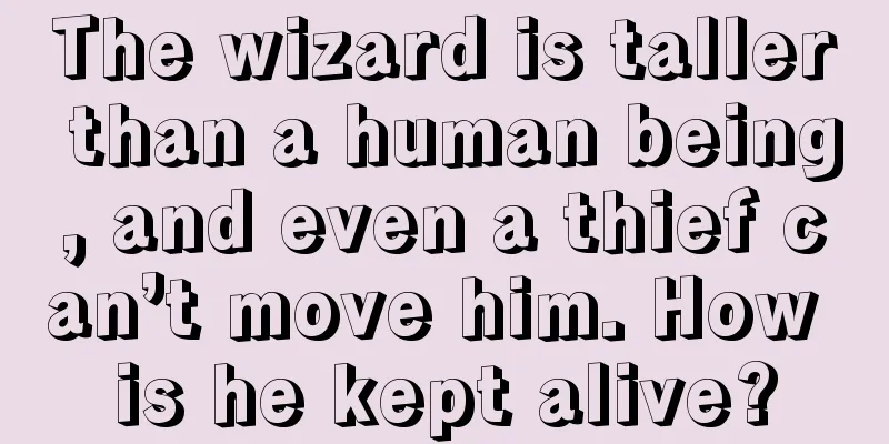 The wizard is taller than a human being, and even a thief can’t move him. How is he kept alive?