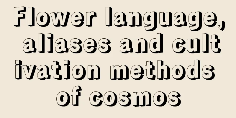 Flower language, aliases and cultivation methods of cosmos