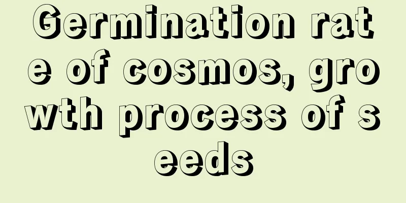 Germination rate of cosmos, growth process of seeds