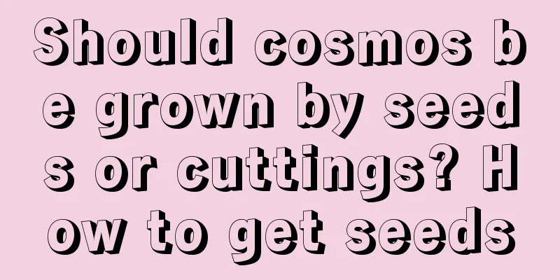 Should cosmos be grown by seeds or cuttings? How to get seeds