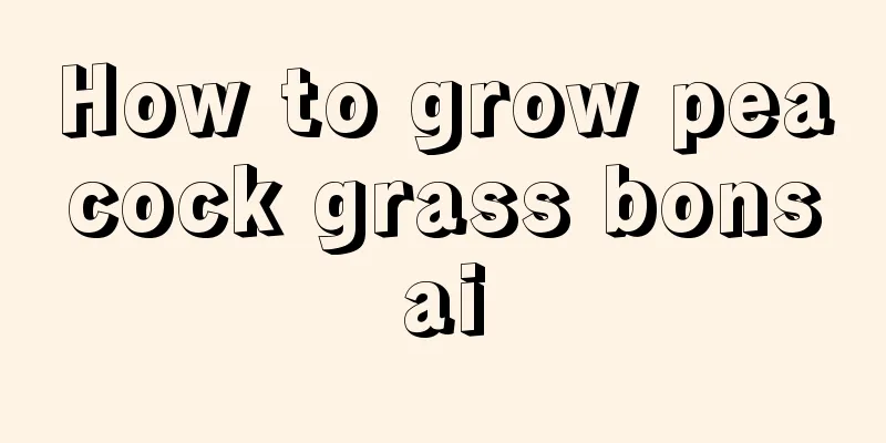 How to grow peacock grass bonsai