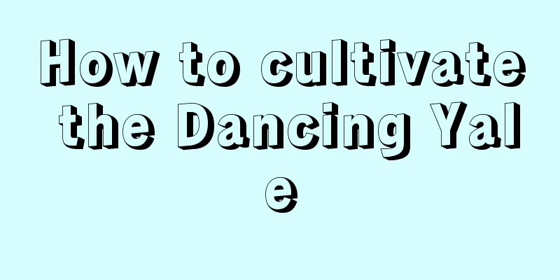 How to cultivate the Dancing Yale