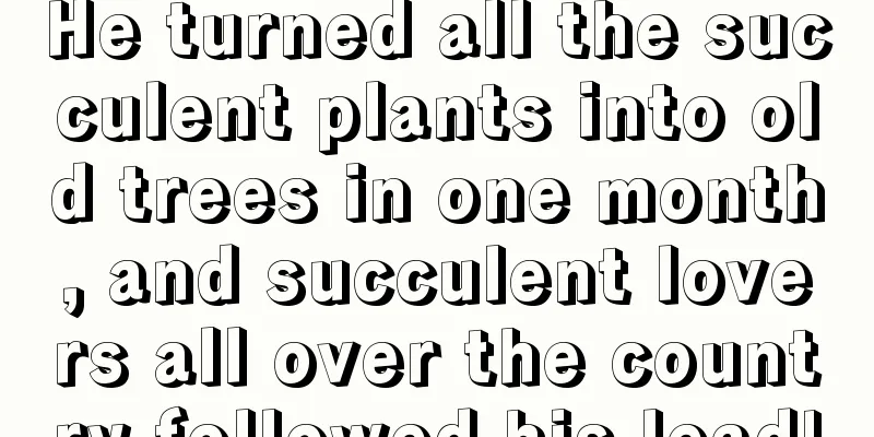 He turned all the succulent plants into old trees in one month, and succulent lovers all over the country followed his lead!