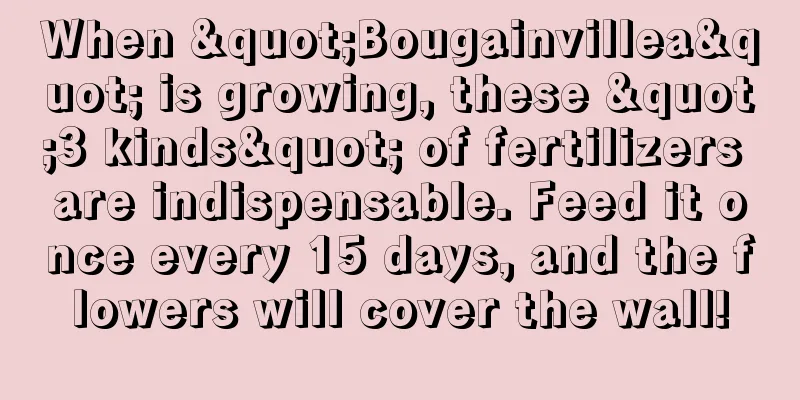 When "Bougainvillea" is growing, these "3 kinds" of fertilizers are indispensable. Feed it once every 15 days, and the flowers will cover the wall!