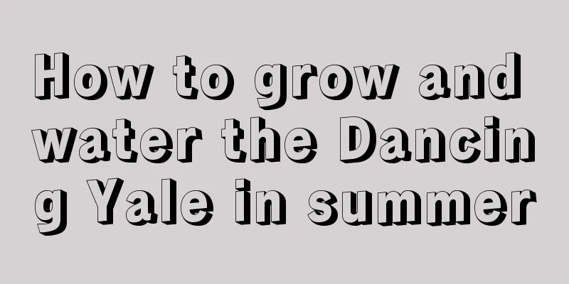 How to grow and water the Dancing Yale in summer