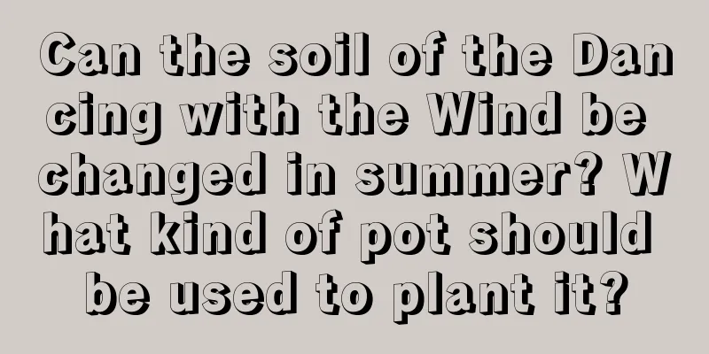 Can the soil of the Dancing with the Wind be changed in summer? What kind of pot should be used to plant it?