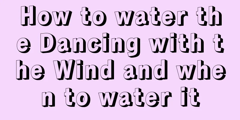 How to water the Dancing with the Wind and when to water it