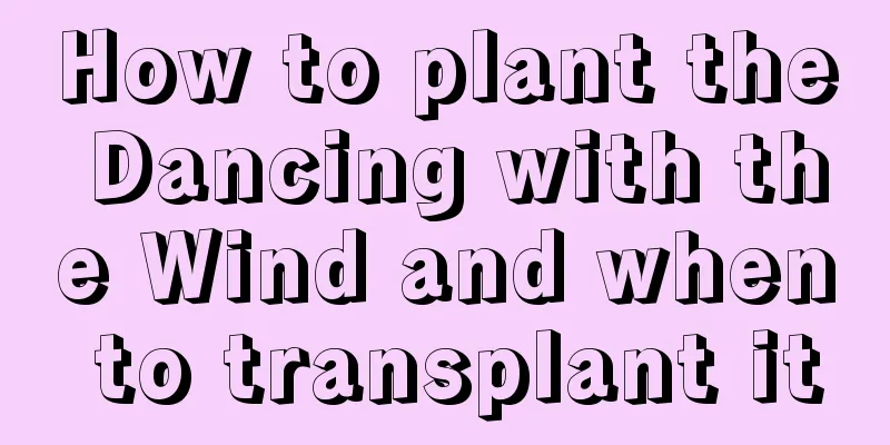 How to plant the Dancing with the Wind and when to transplant it