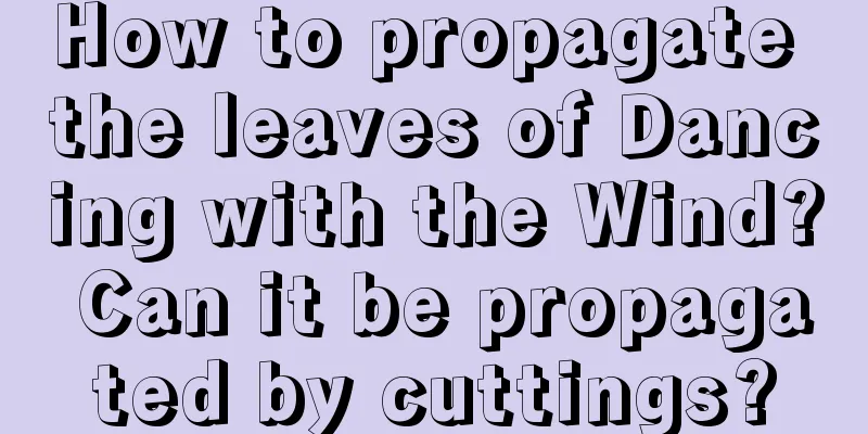 How to propagate the leaves of Dancing with the Wind? Can it be propagated by cuttings?