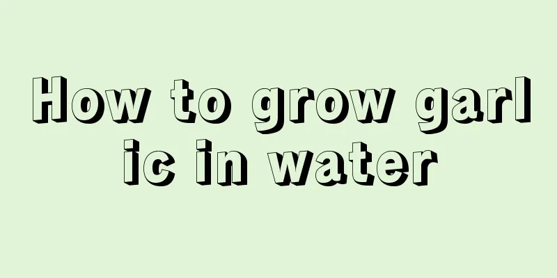 How to grow garlic in water