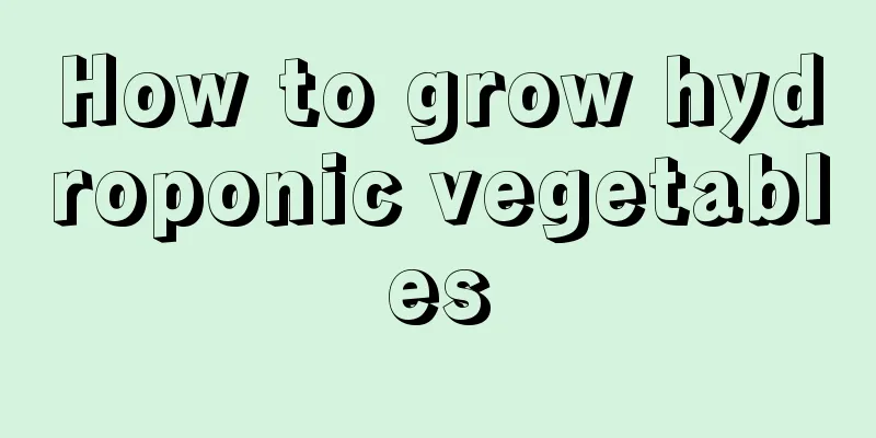 How to grow hydroponic vegetables