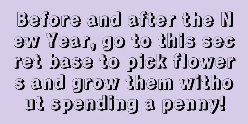 Before and after the New Year, go to this secret base to pick flowers and grow them without spending a penny!