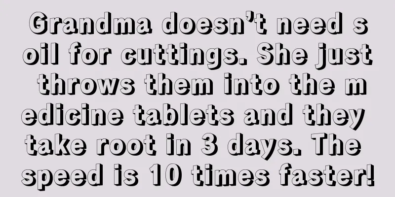 Grandma doesn’t need soil for cuttings. She just throws them into the medicine tablets and they take root in 3 days. The speed is 10 times faster!