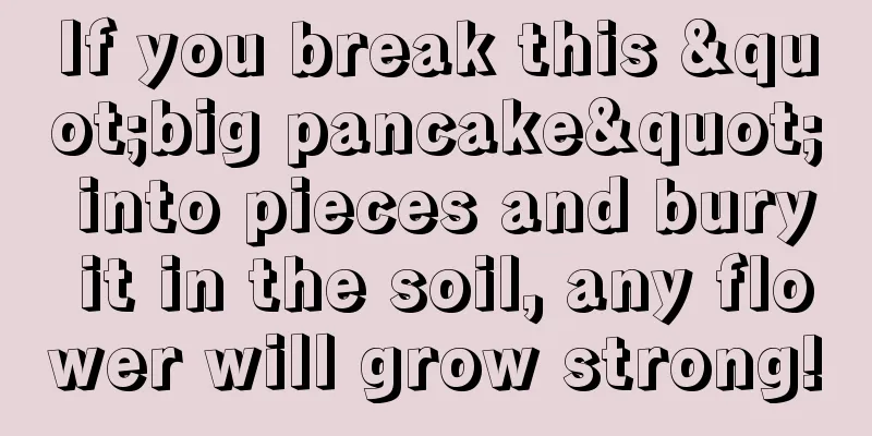 If you break this "big pancake" into pieces and bury it in the soil, any flower will grow strong!