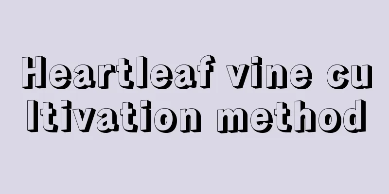 Heartleaf vine cultivation method