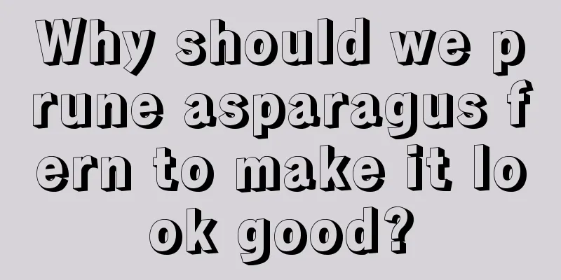 Why should we prune asparagus fern to make it look good?