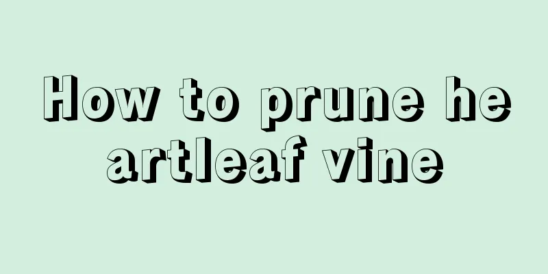 How to prune heartleaf vine