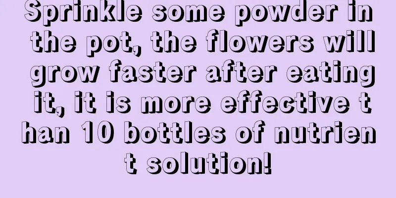 Sprinkle some powder in the pot, the flowers will grow faster after eating it, it is more effective than 10 bottles of nutrient solution!